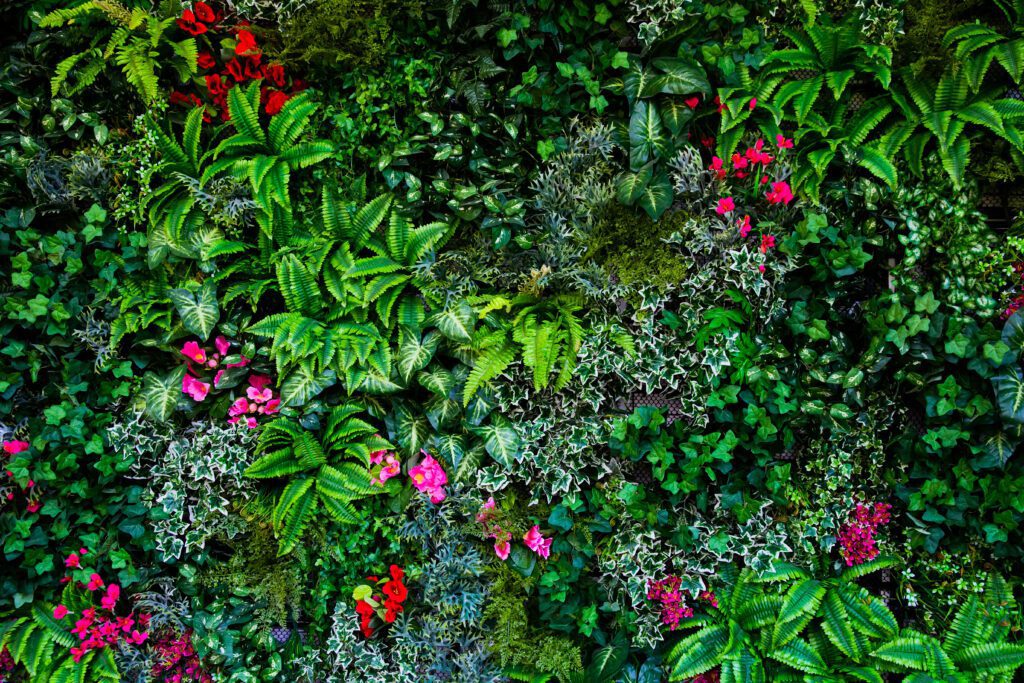 Jak zrobić ogród wertykalny? Praktyczne wskazówki dotyczące projektowania i budowy ogródka na ścianie lub balkonie.